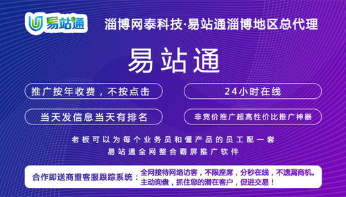 惠民網絡推廣效果好服務介紹——淄博網泰科技，以專業經驗與技術開發助力企業騰飛